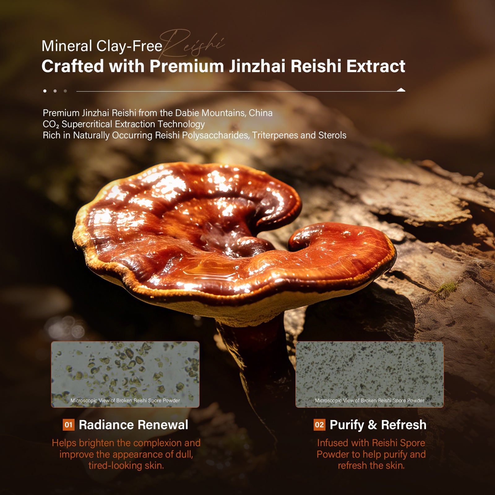 DR.LIGEDO REISHI RADIANCE RENEWAL MASK